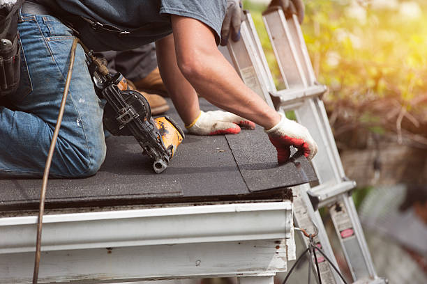 Best Flat Roof Repair Services  in Myrtle Point, OR